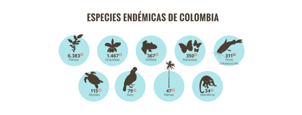 cuantos reptiles hay en colombia