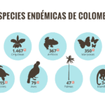 cuantos-reptiles-hay-en-colombia