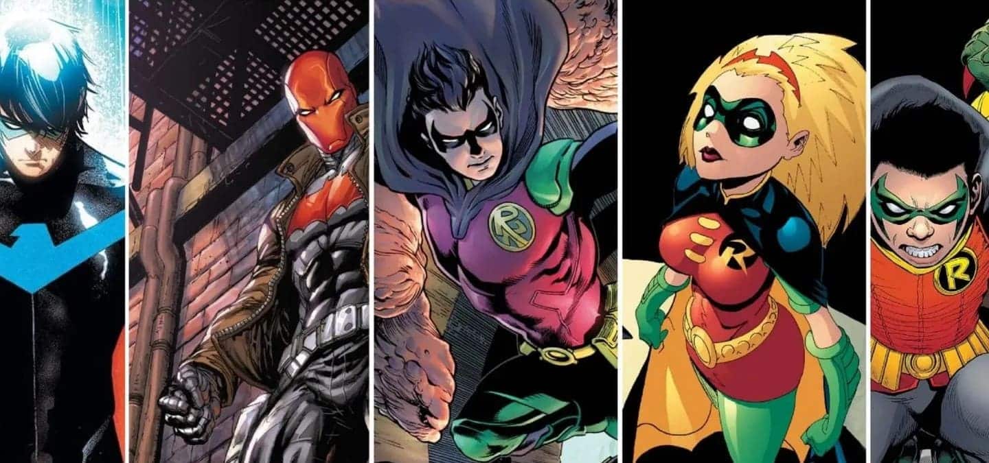 cuantos robin hay