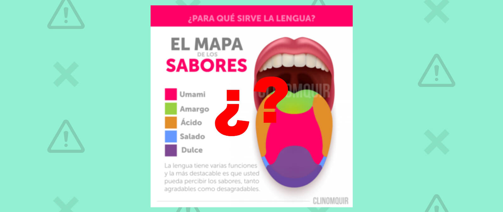 Blog 10 cuantos sabores tiene la lengua