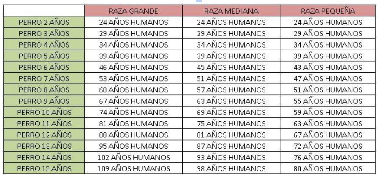 cuantos son 5 anos perrunos