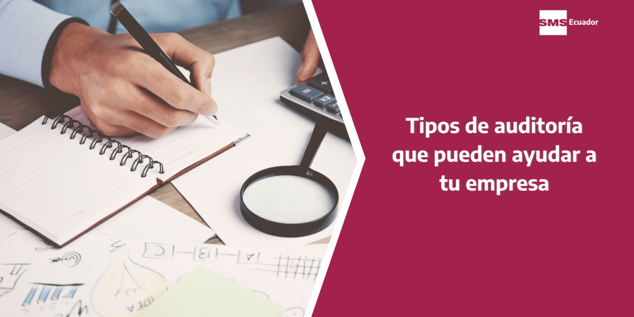 cuantos tipos de auditoria