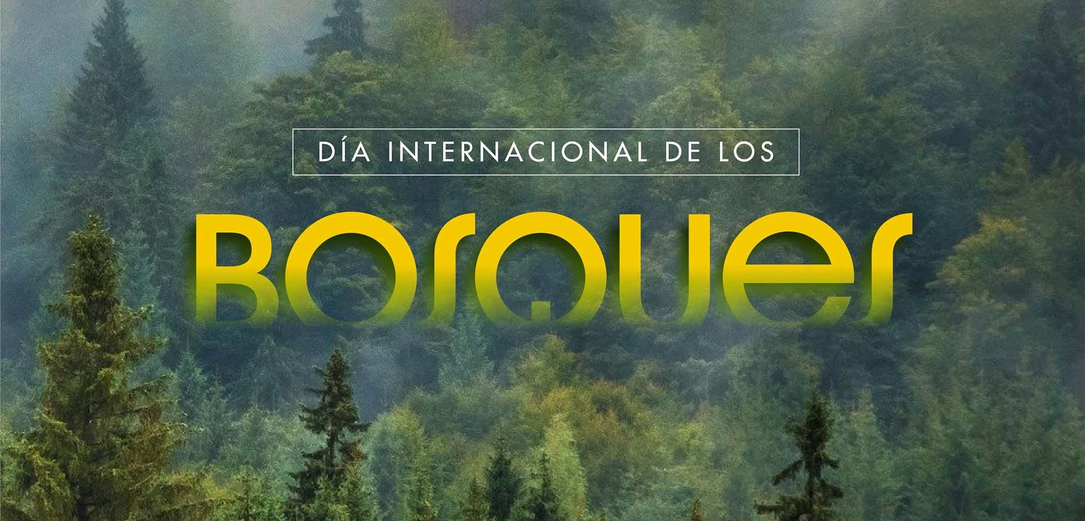 cuantos tipos de bosques hay