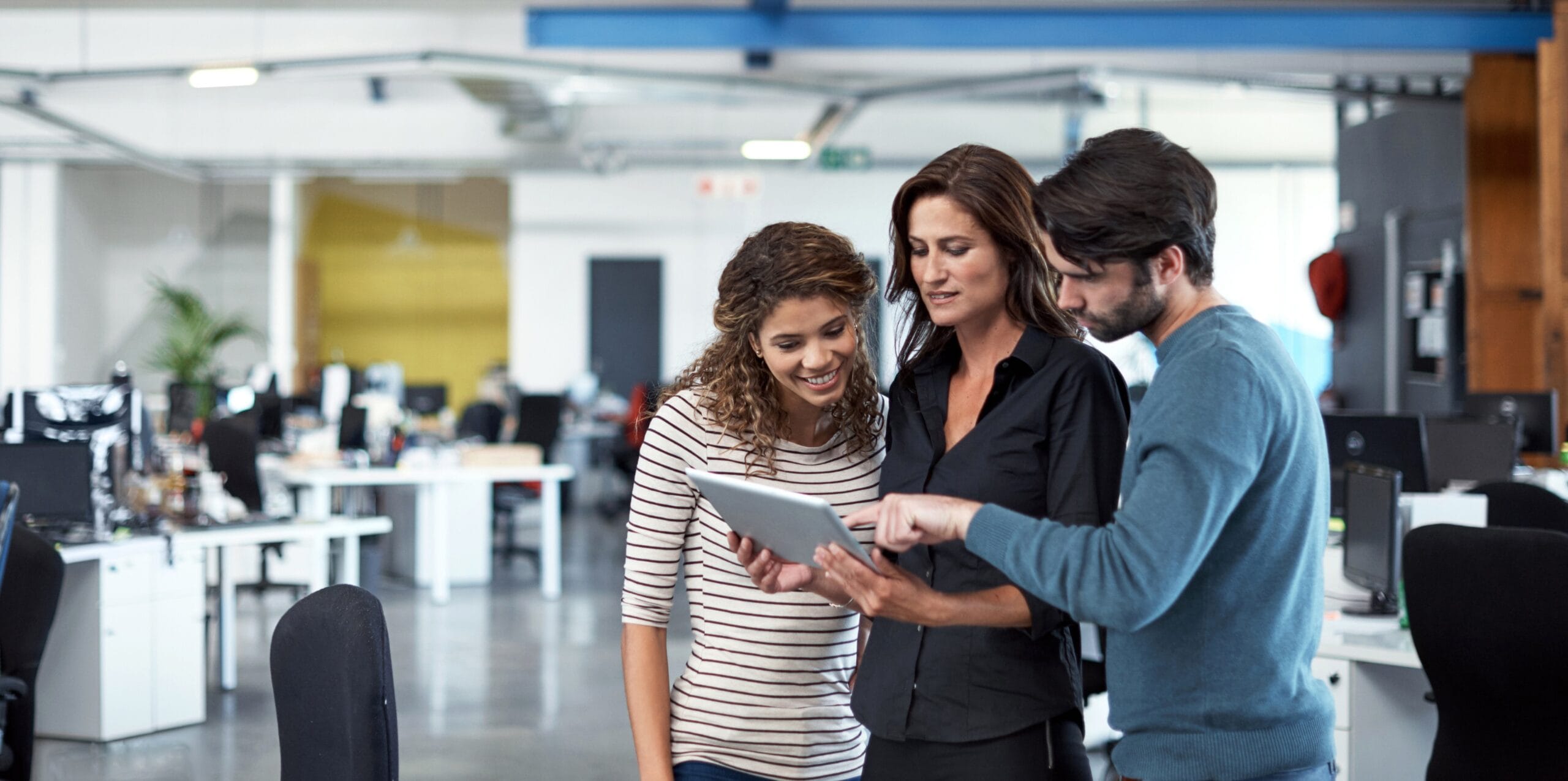 cuantos tipos de emprendedor existen scaled
