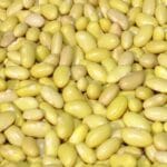 ¿Cuántos tipos de frijol hay? cuantos-tipos-de-frijol-hay