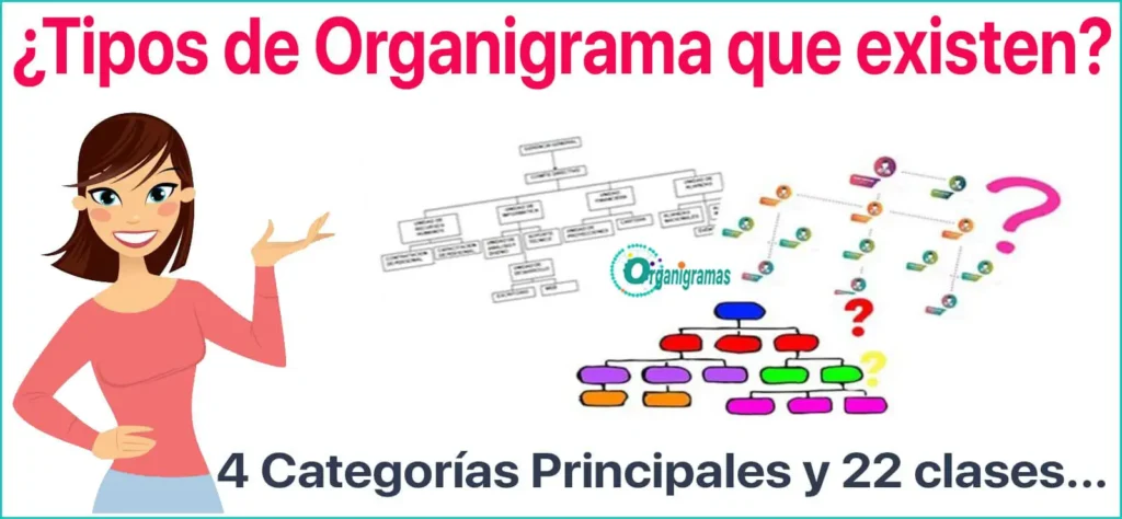 cuantos tipos de funciones hay