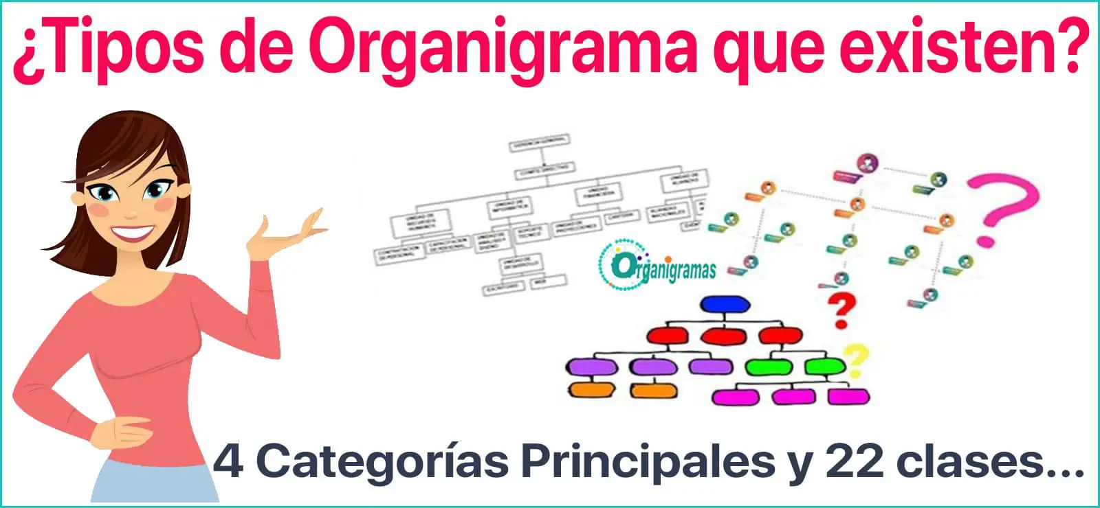 cuantos tipos de funciones hay