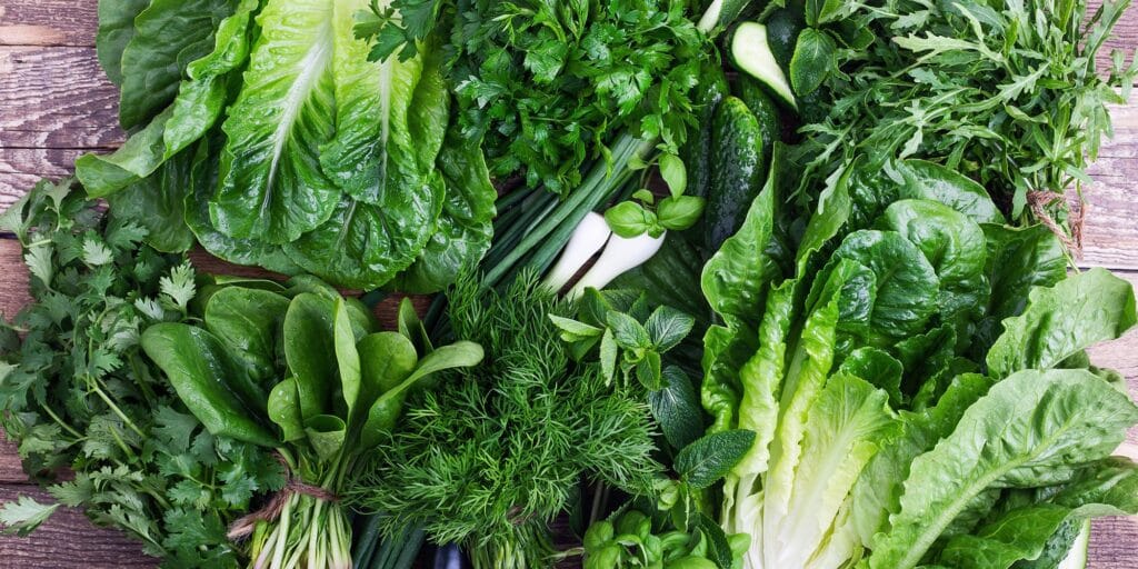 cuantos tipos de lechuga hay