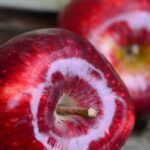 cuantos-tipos-de-manzanas-hay