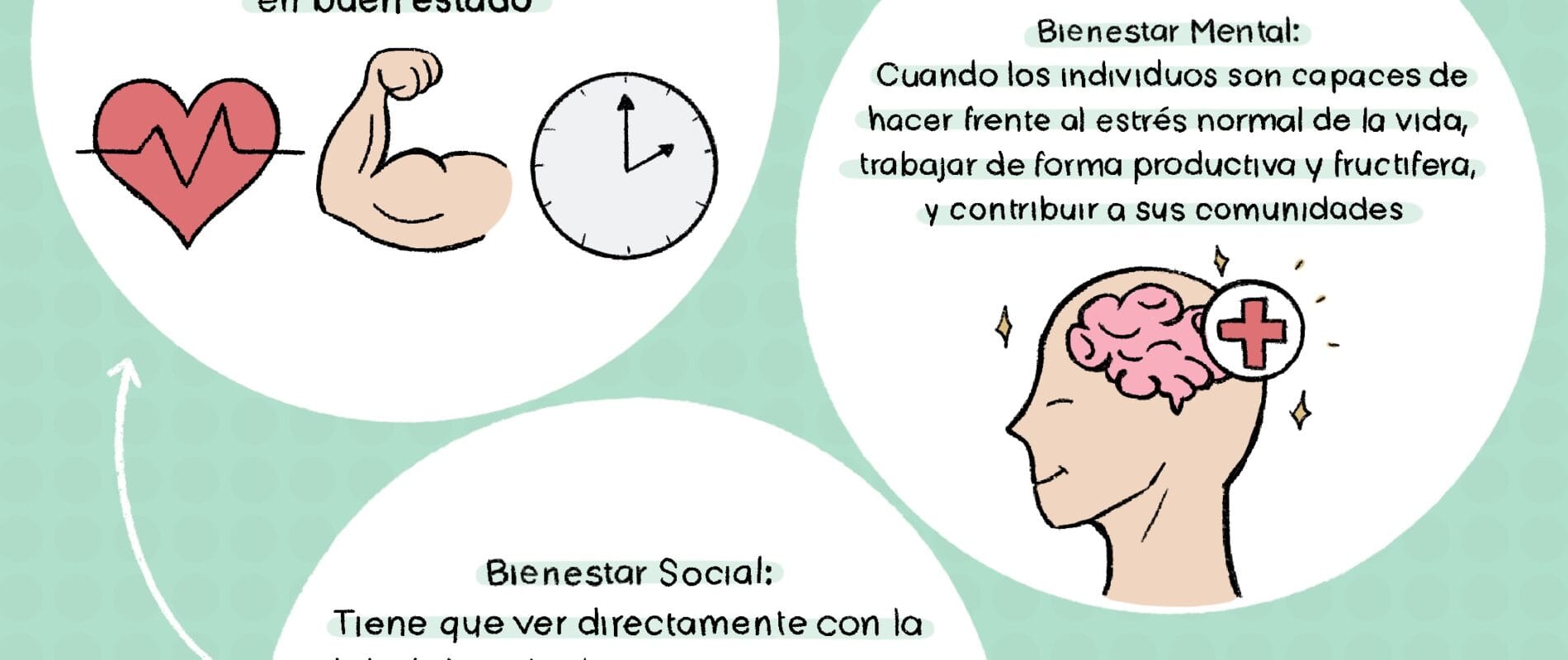 cuantos tipos de salud hay
