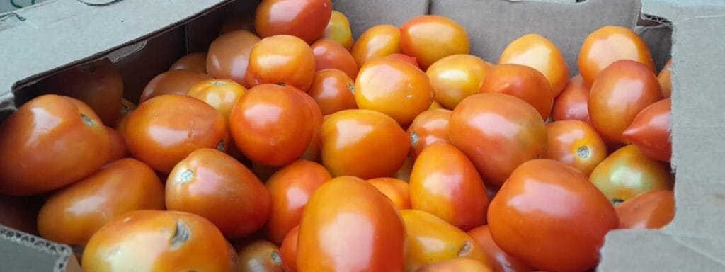 ¿Cuántos tomates trae un kilo? 2 cuantos tomates trae un kilo