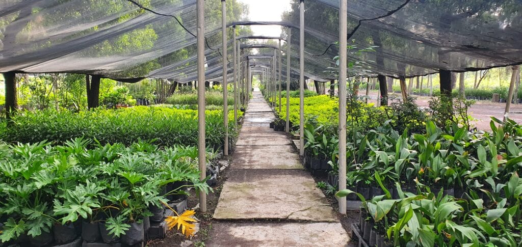 cuantos viveros hay en mexico