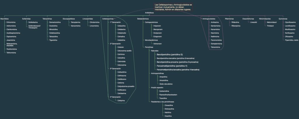 dicloxacilina cada cuanto se toma