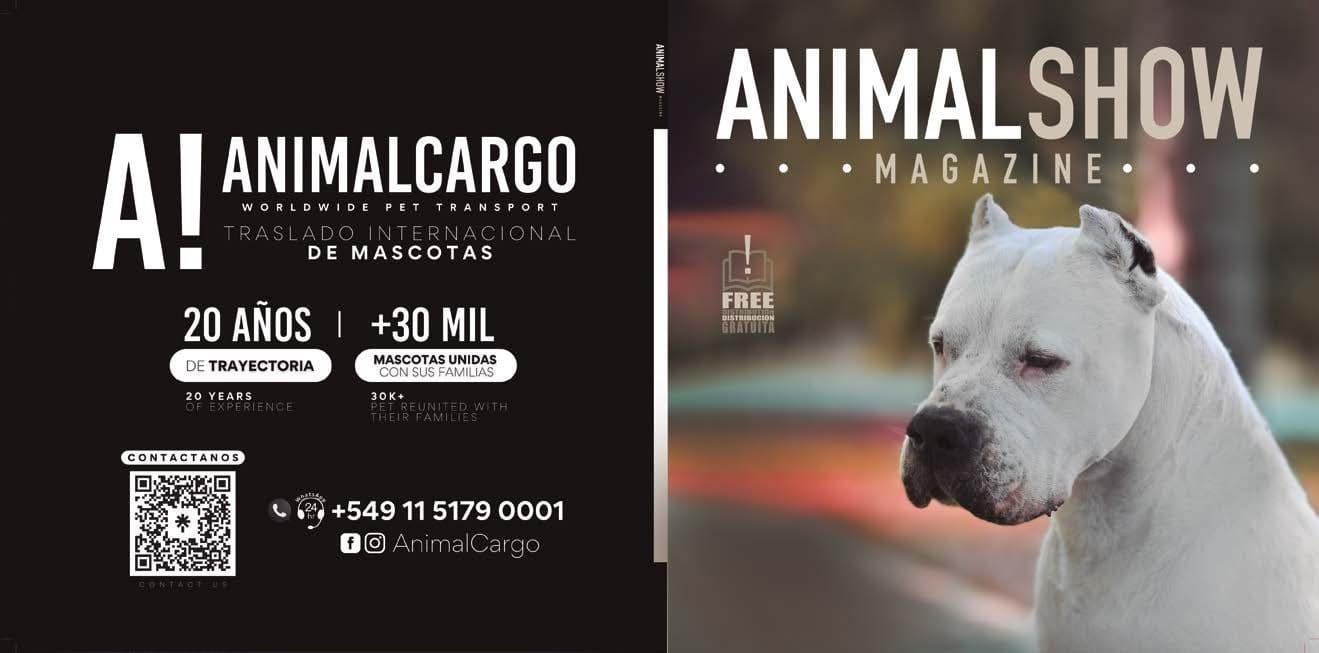 dogo argentino cuanto vale