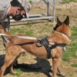 Infante de marina, ¿cuánto gana? infante-de-marina-cuanto-gana