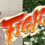 maltes-mini-cuanto-crece