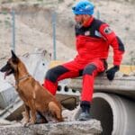 operativo-leones-cuantos-capitulos-tiene