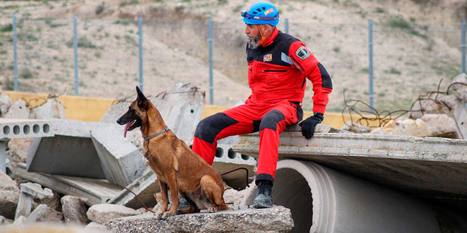 operativo leones cuantos capitulos tiene