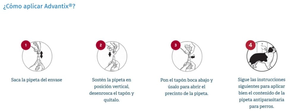 pipeta para perros cuanto dura