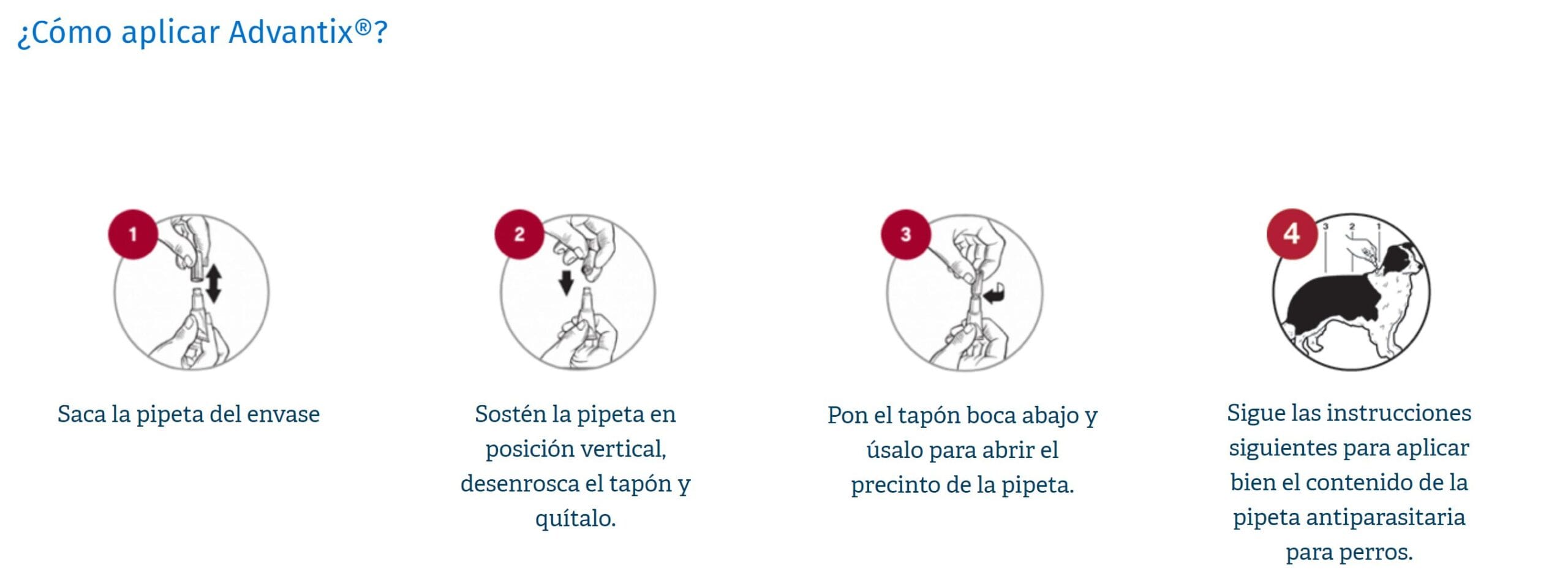 pipeta para perros cuanto dura scaled
