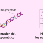 vitamen-cuanto-dura-el-efecto